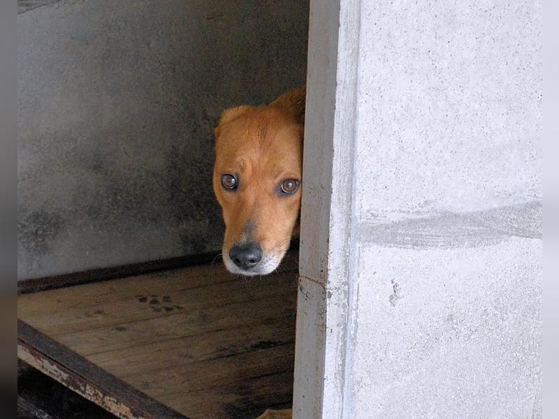 Idalee - Die Wunde namens Zeit