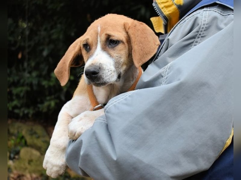 Waylo - Als Mama noch bei uns war