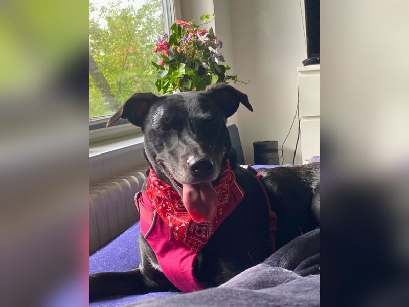 Taya - Manchmal hält das Glück nicht ewig Taya - Manchmal hält das Glück nicht ewig