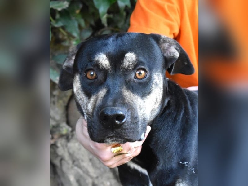 Kristian - SOS - Braucht ganz dringend ein Ausreiseticket