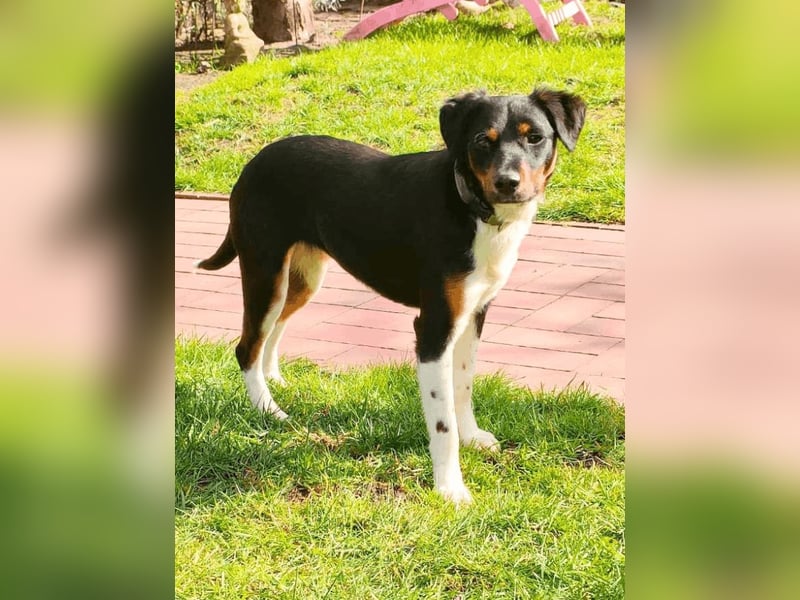 Zelia - Menschen zum Lachen bringen, das ist der Plan