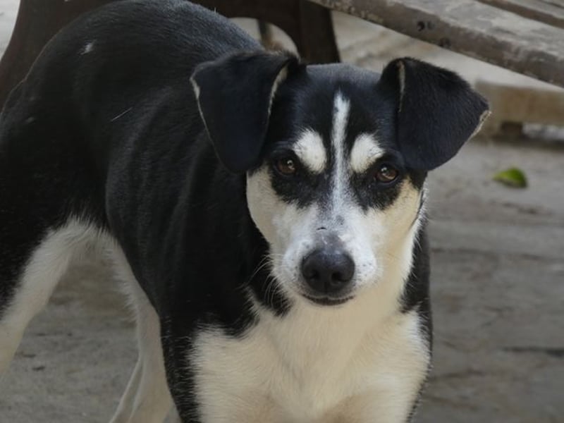 Nikita - Still, übersehen und dabei so besonders