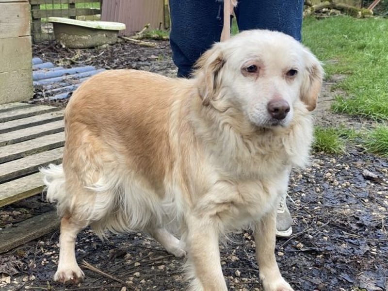 Ruby - Vom Dunkel ans Licht