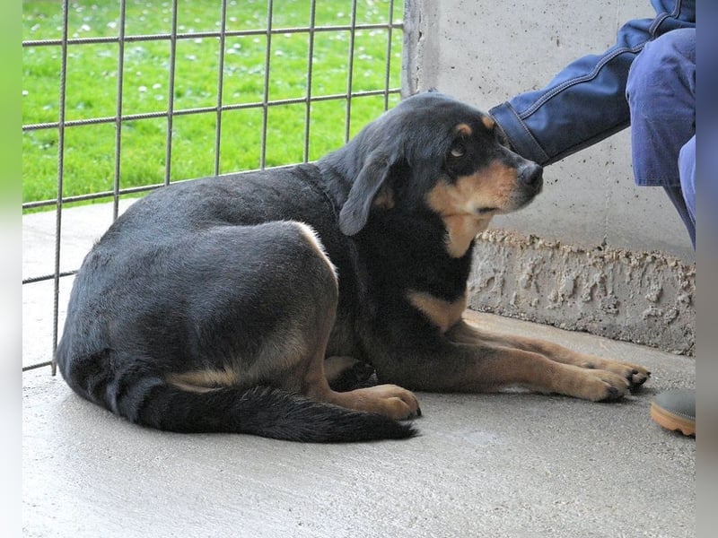 Mirjana - Mit Rückenwind ins Glück!