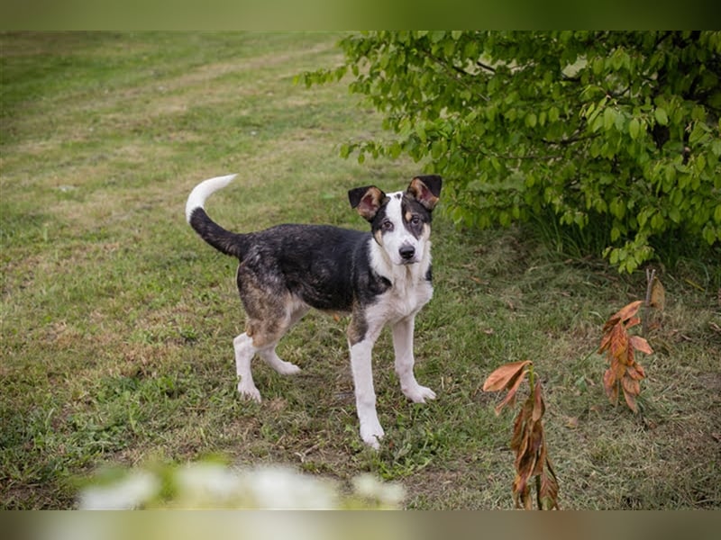 Jim: Sucht das Abenteuer