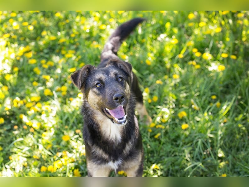 Anni – liebt Wasser