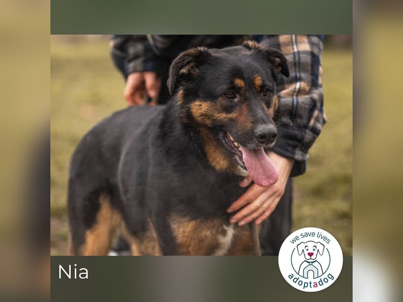 Nia – großes, aktives Mädchen