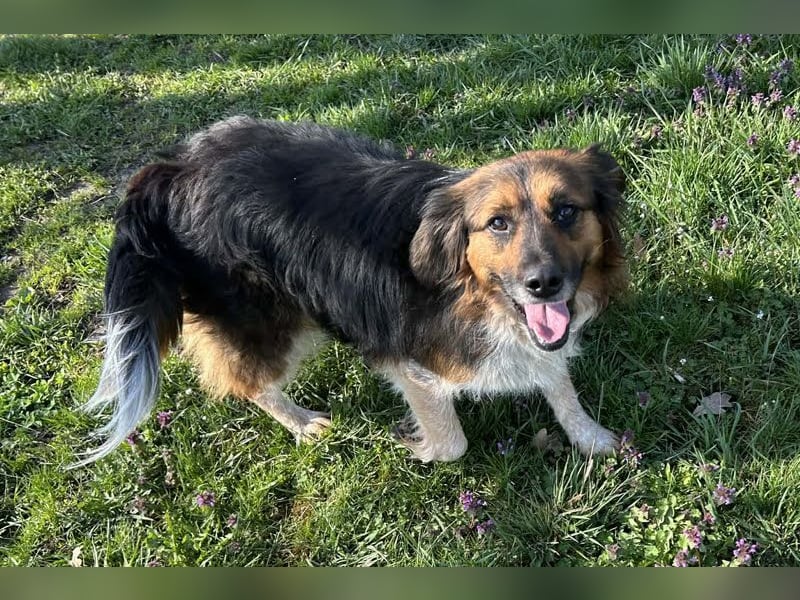 Namira: Fröhliche Seele sucht Heimat