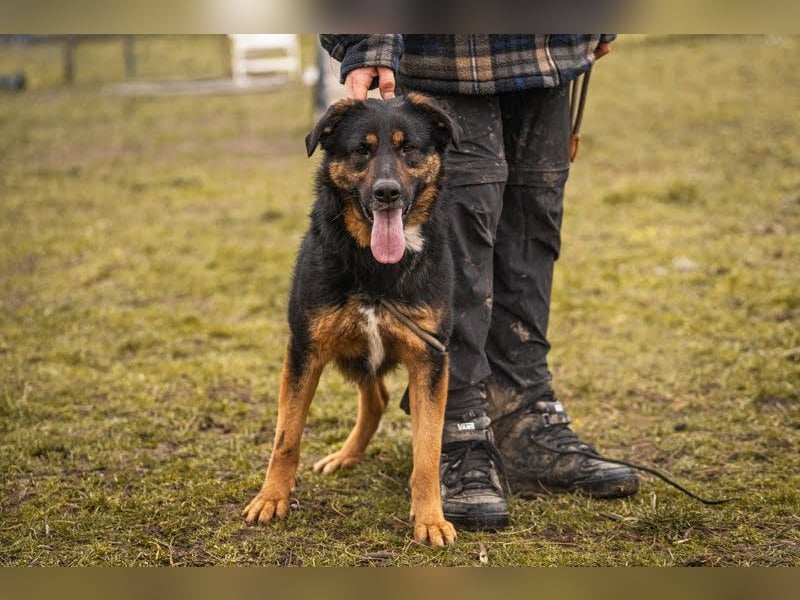 Nia: großes, aktives Mädchen