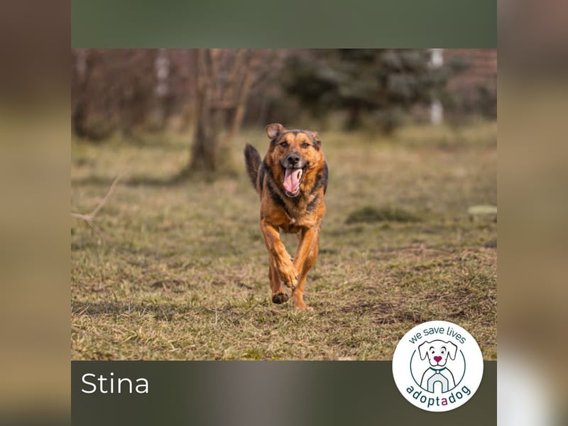 Stina – Königreich gesucht