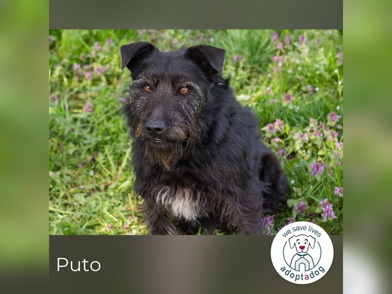 Pluto – Ein waschechter Spielgefährte!