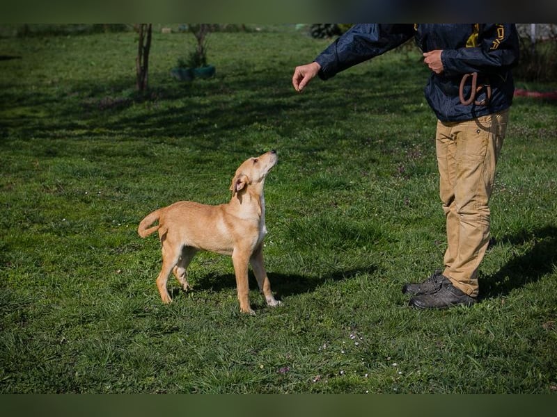 Chip 271243 sucht ein Zuhause