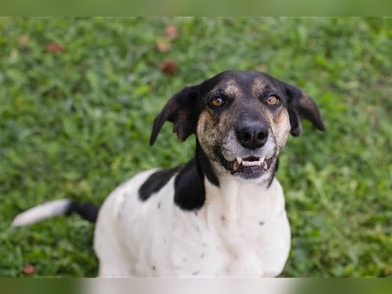 Yuna: Stets an deiner Seite