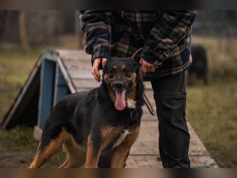 Nia: 50cm großes, aktives Mädchen