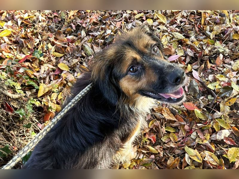 Namira: Fröhliche Seele sucht Heimat