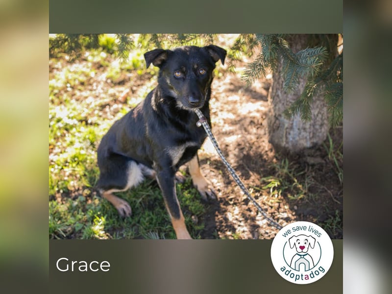 Grace: Sanfte Seele sucht Halt