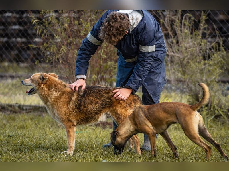 Julica: Volle Kraft voraus!
