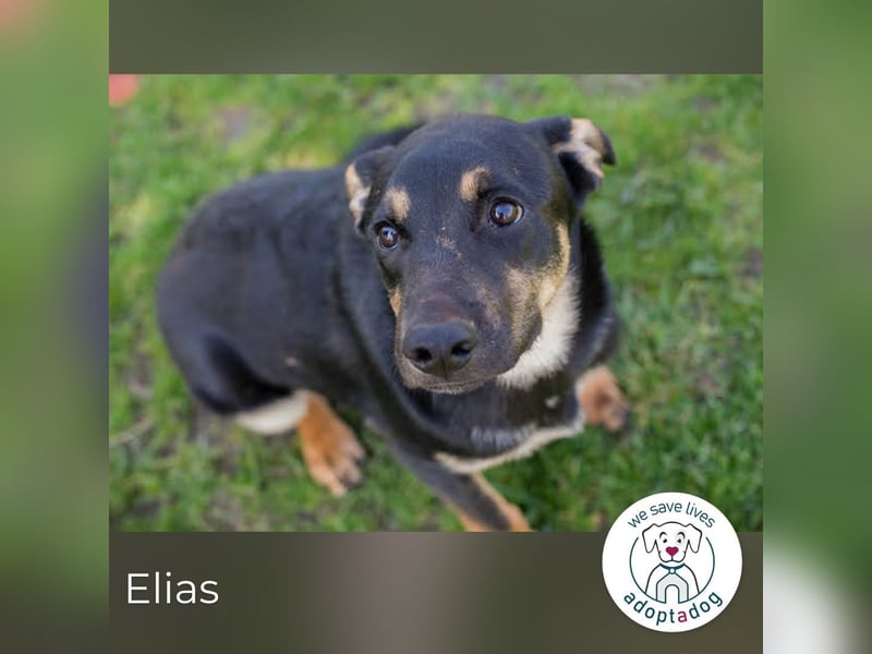 Elias sucht den Sprung ins Glück