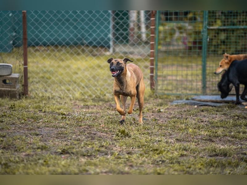 Julica: Volle Kraft voraus!