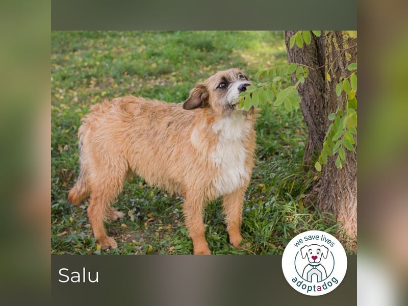 Salü: Leises Herz will wieder strahlen