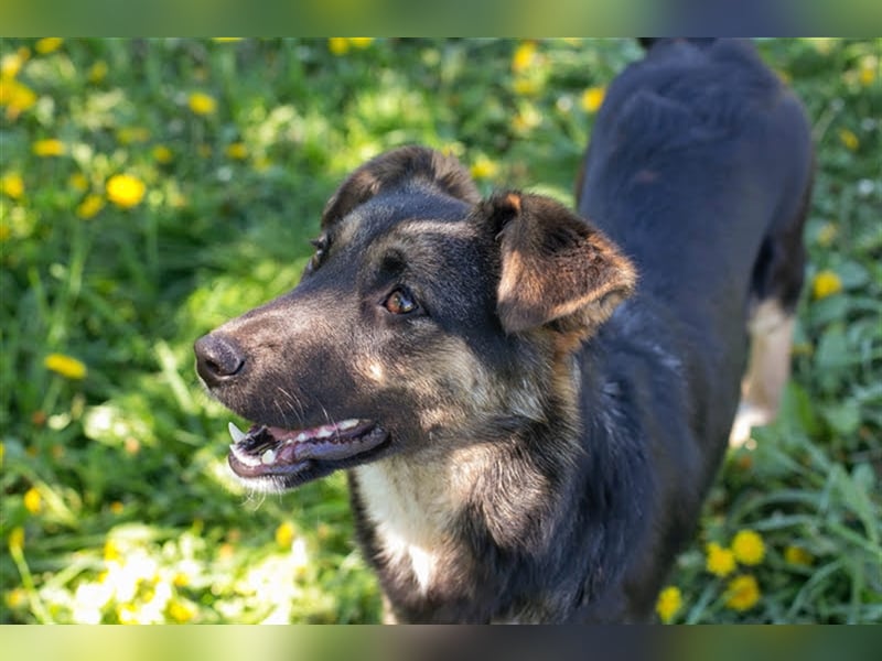 Anni – liebt Wasser