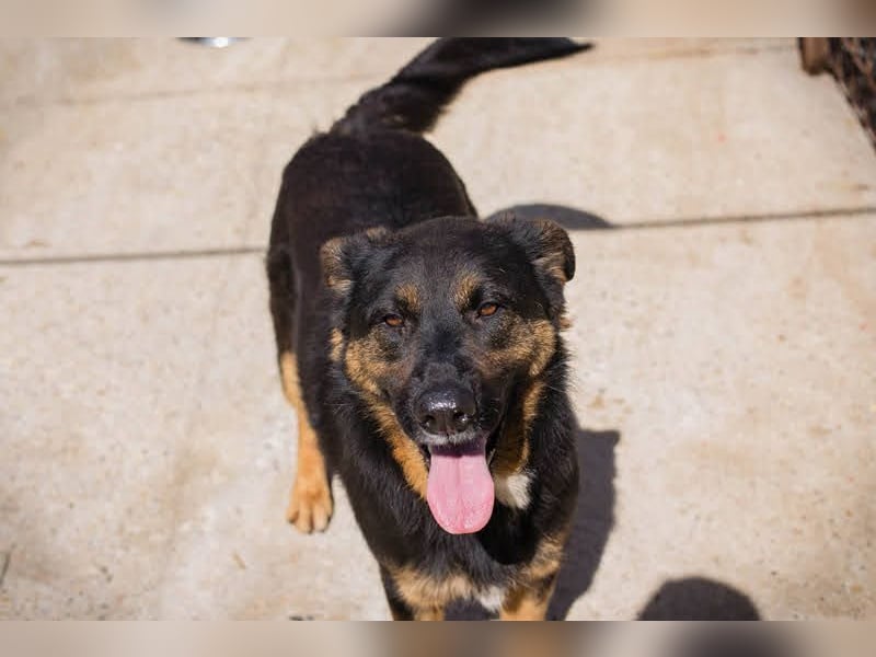 Nia: 50cm großes, aktives Mädchen