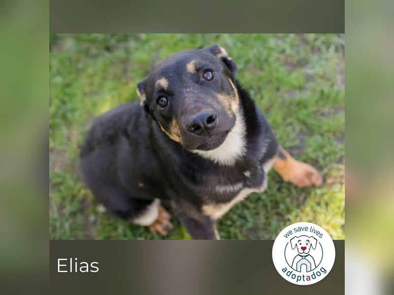 Elias sucht den Sprung ins Glück