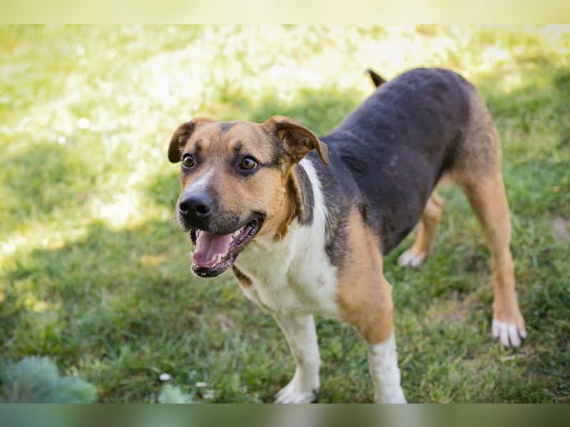 Tobi: Stark und sanft zugleich