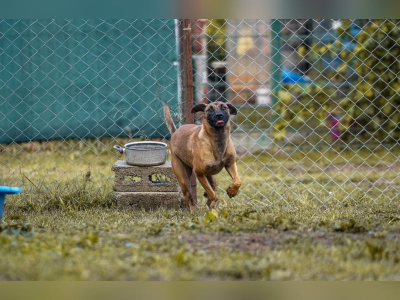 Julica: Volle Kraft voraus!