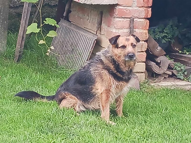 Nola, sucht einfühlsame Menschen