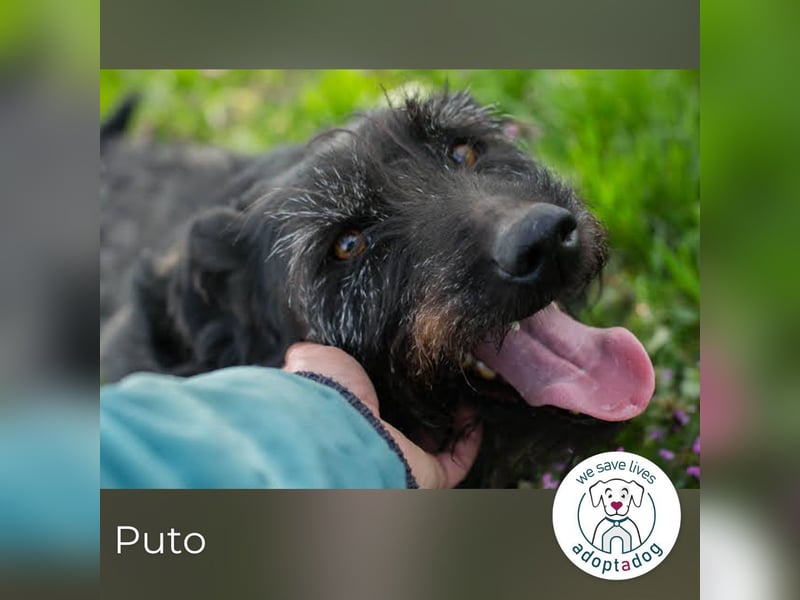 Pluto 156420 sucht ein zu Hause
