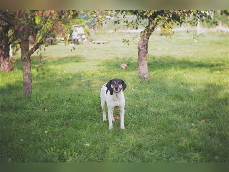 Yuna: Stets an deiner Seite