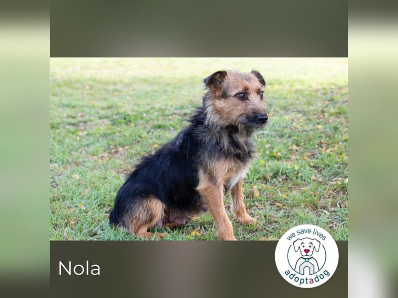 Nola, sucht einfühlsame Menschen