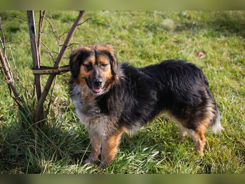 Namira: Fröhliche Seele sucht Heimat