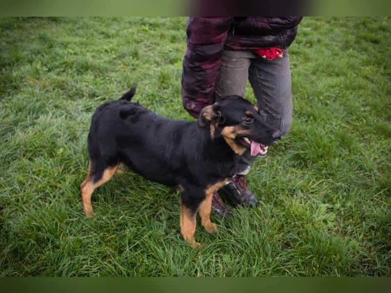 Nia: 50cm großes, aktives Mädchen