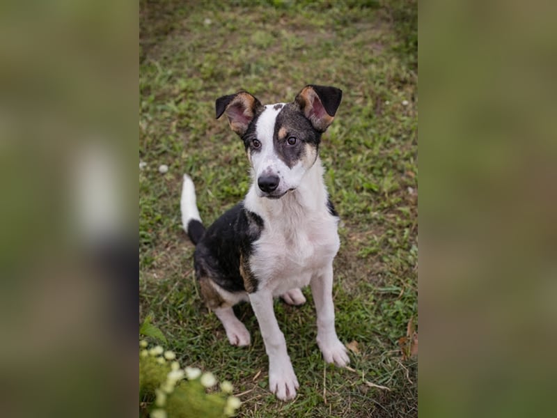 Jim: Sucht das Abenteuer