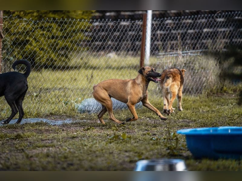 Julica: Volle Kraft voraus!