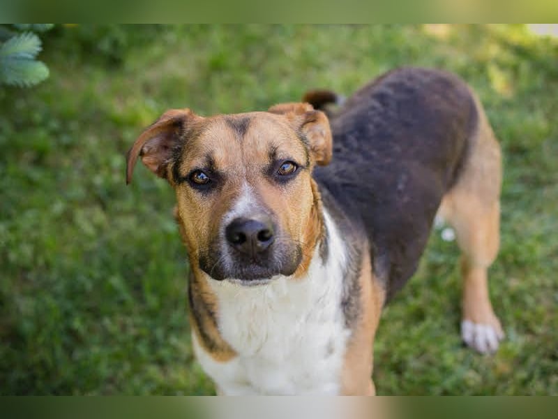 Tobi: Stark und sanft zugleich