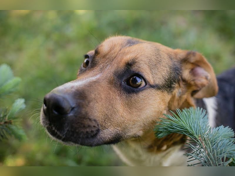 Tobi: Stark und sanft zugleich