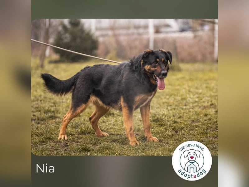 Nia – großes, aktives Mädchen