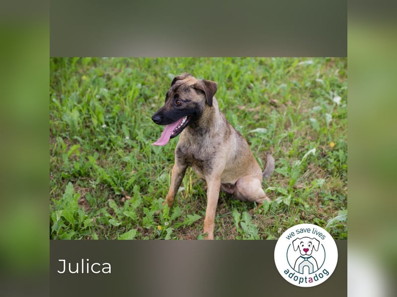 Julica: Volle Kraft voraus!