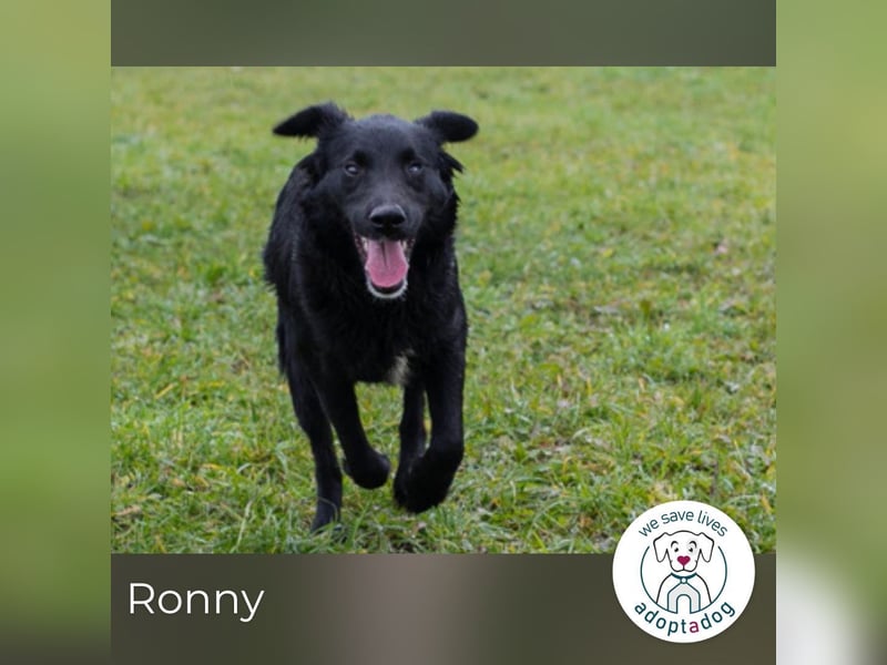 Ronny: freundlich und fröhlich