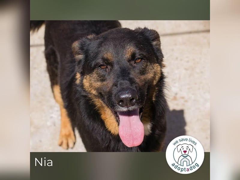 Nia – großes, aktives Mädchen