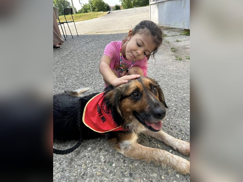 Namira: Fröhliche Seele sucht Heimat