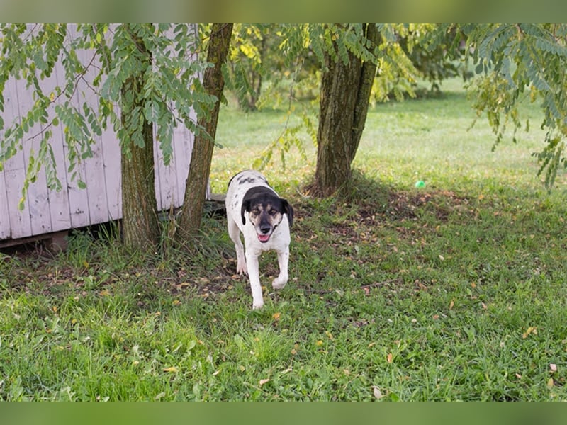 Yuna: Stets an deiner Seite