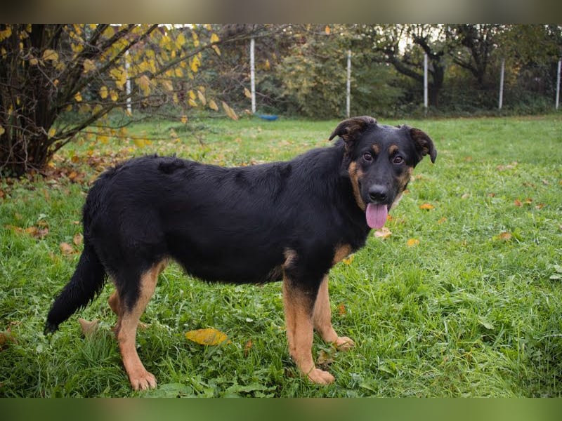 Nia: 50cm großes, aktives Mädchen