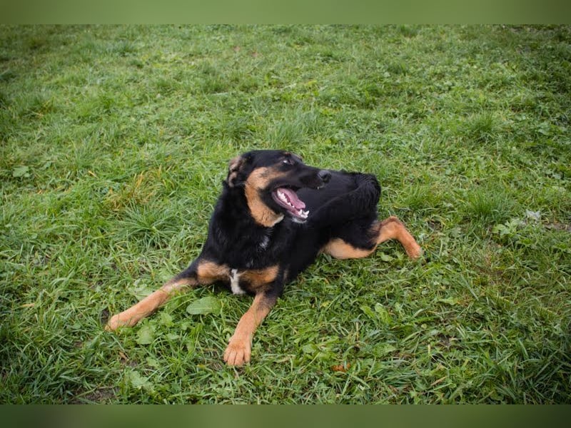 Nia: großes, aktives Mädchen