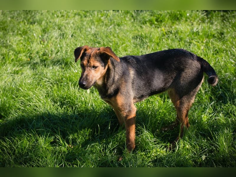 Stina – Königreich gesucht