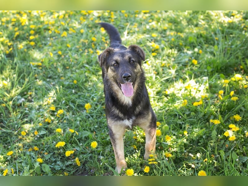 Anni – liebt Wasser