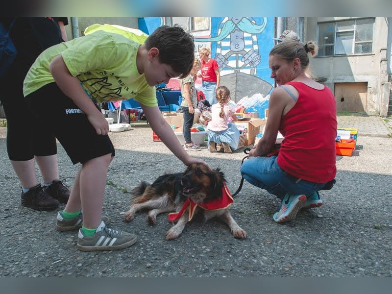 Namira: Fröhliche Traumhündin sucht liebevolles Zuhause